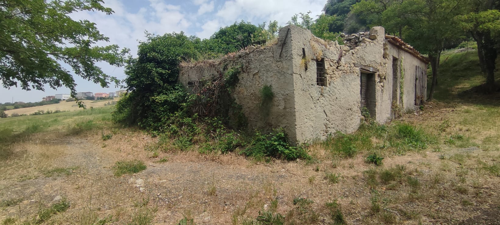 Trial Camp Baldasserona